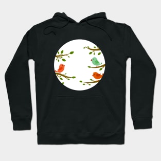 Colorful birds vector design Hoodie